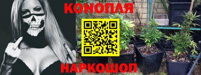 стафф Кандалакша