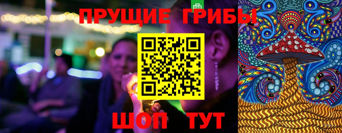 Галлюциногенные грибы Psilocybine cubensis Когалым
