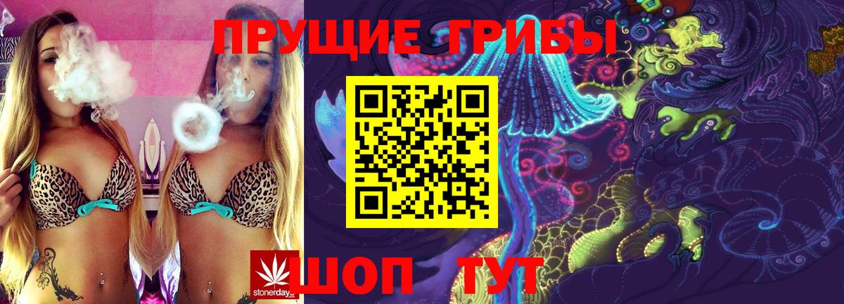 Псилоцибиновые грибы мухоморы  Вход с VPN  Псилоцибиновые грибы Psilocybe  Когалым 